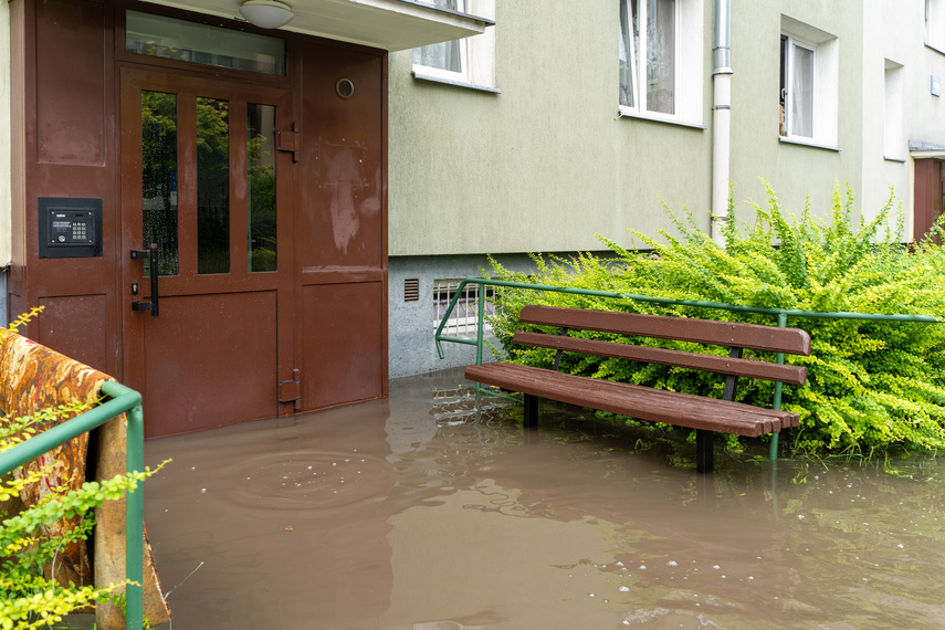  Wichry i burze w Elblągu  zdjęcie nr 264254