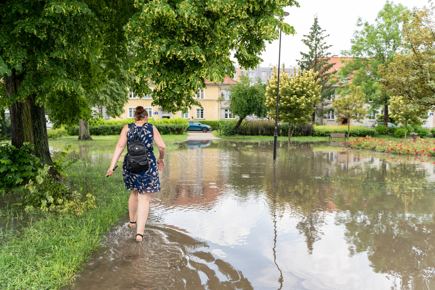  Wichry i burze w Elblągu  zdjęcie nr 264268