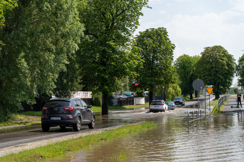  Wichry i burze w Elblągu  zdjęcie nr 264237