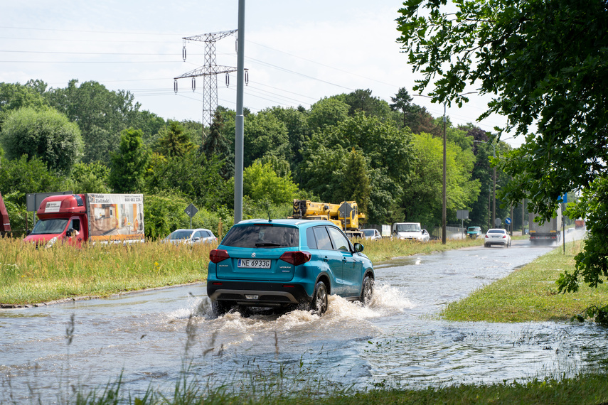  Wichry i burze w Elblągu  zdjęcie nr 264228