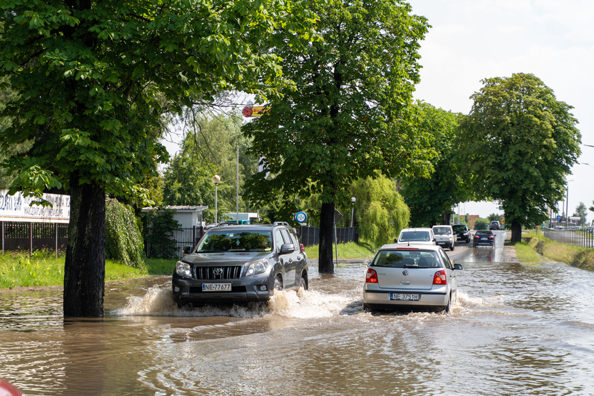  Wichry i burze w Elblągu  zdjęcie nr 264242