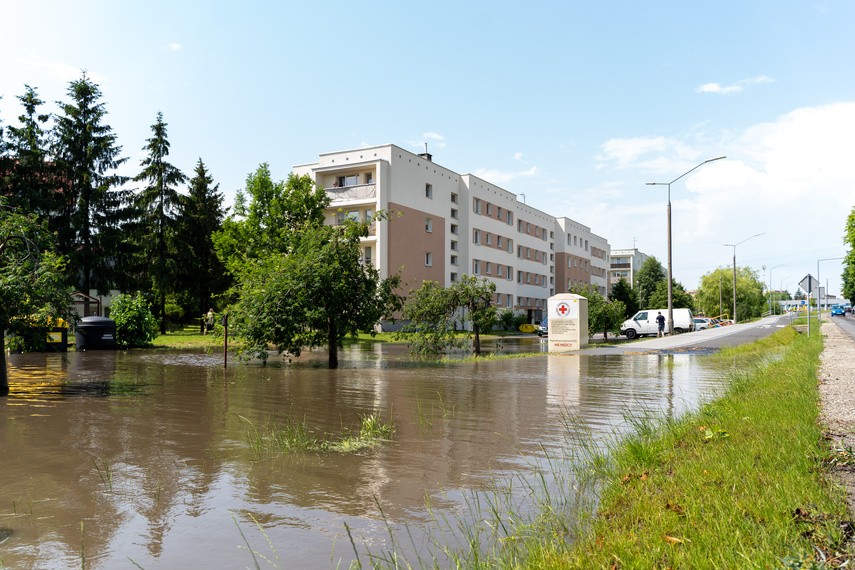  Wichry i burze w Elblągu  zdjęcie nr 264243