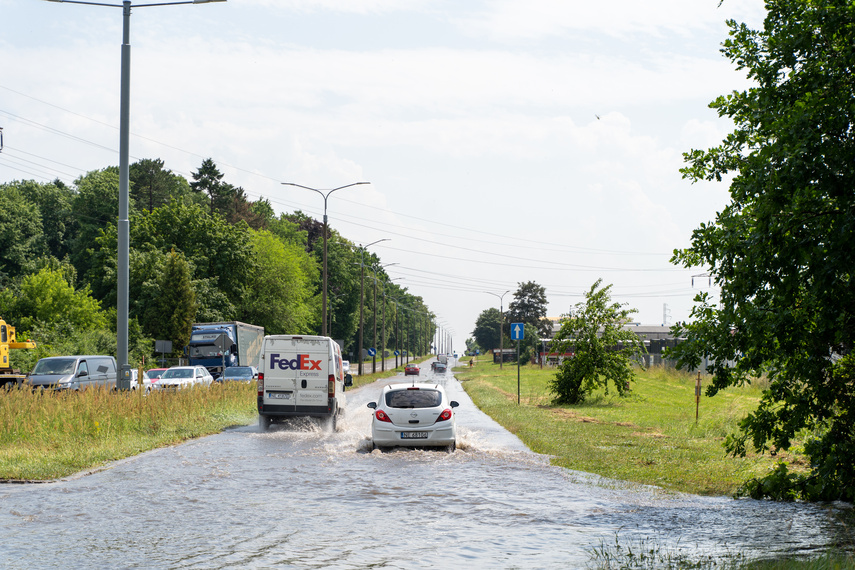  Wichry i burze w Elblągu  zdjęcie nr 264231