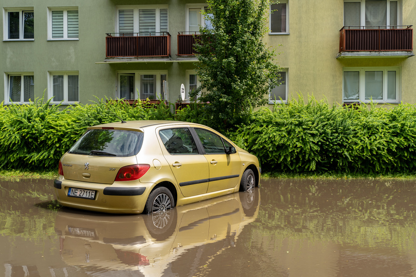  Wichry i burze w Elblągu  zdjęcie nr 264250