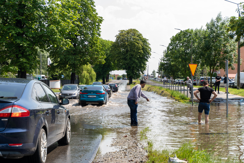  Wichry i burze w Elblągu  zdjęcie nr 264240