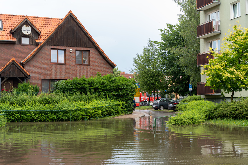  Wichry i burze w Elblągu  zdjęcie nr 264255