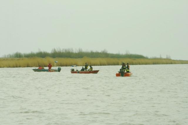 Żuławy 2009 zdjęcie nr 21518