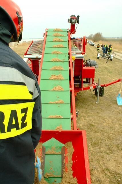 Żuławy 2009 zdjęcie nr 21481