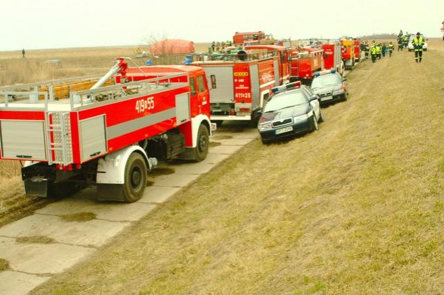 Żuławy 2009 zdjęcie nr 21485