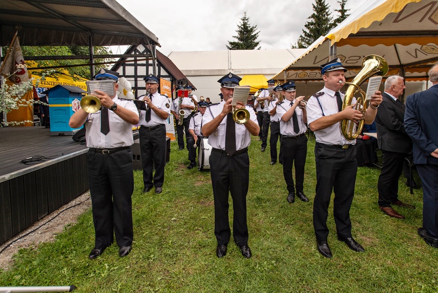 Pszczelarze świętują w Karczowiskach zdjęcie nr 266532