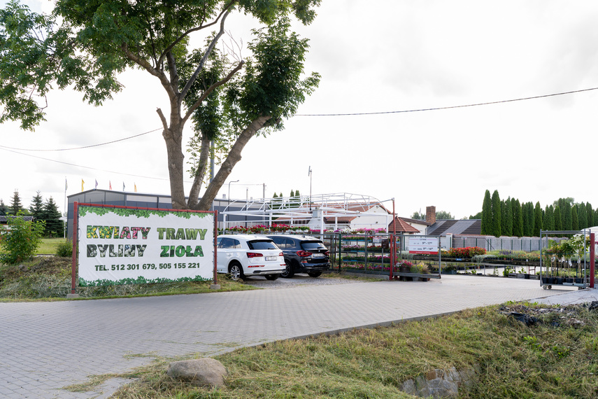 Nowy ogród na jesień zdjęcie nr 267342