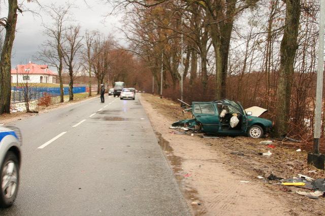 Uderzył w przydrożne drzewo zdjęcie nr 21820