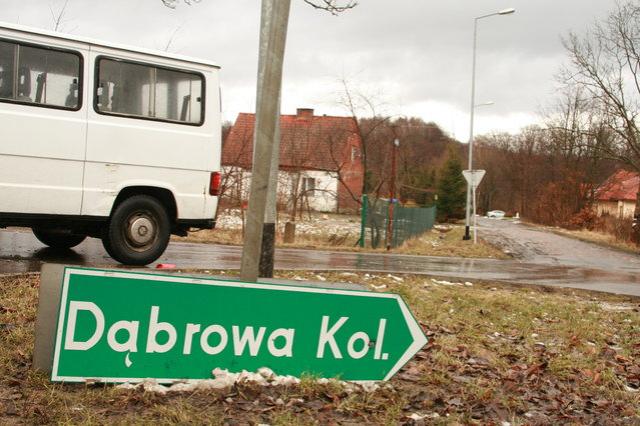 Uderzył w przydrożne drzewo zdjęcie nr 21817