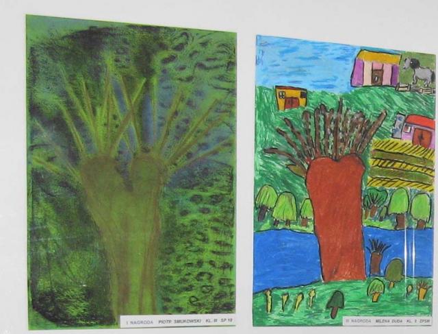 Dzień Wierzby zdjęcie nr 21839