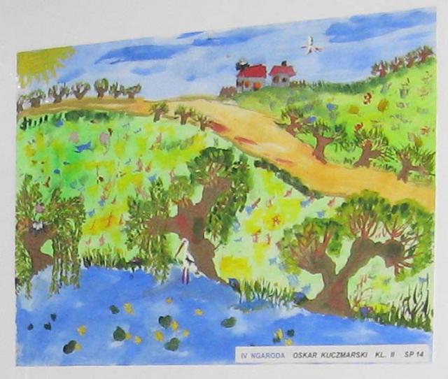 Dzień Wierzby zdjęcie nr 21841