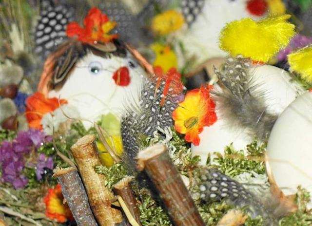 Dzień Wierzby zdjęcie nr 21837