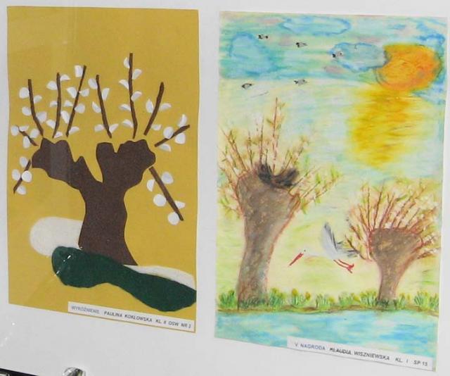 Dzień Wierzby zdjęcie nr 21840