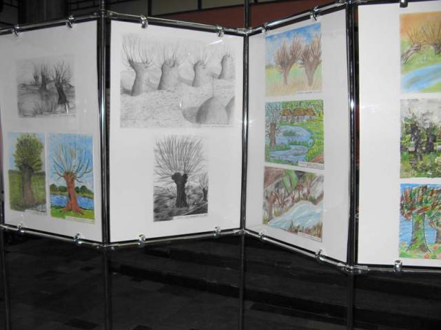 Dzień Wierzby zdjęcie nr 21835