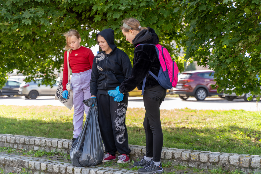 Wszystkie śmieci są nasze! zdjęcie nr 268939