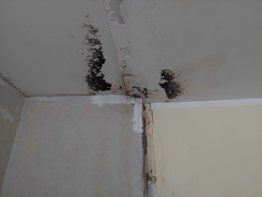 Woda plus elektryka na Trybunalskiej zdjęcie nr 270573