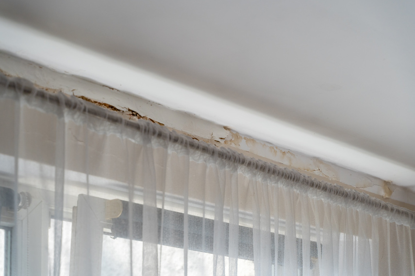 Woda plus elektryka na Trybunalskiej zdjęcie nr 270565