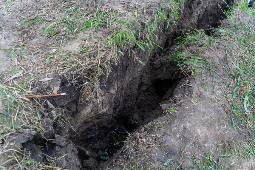 Przerwany wał na rzece Tina. Winne bobry zdjęcie nr 271570