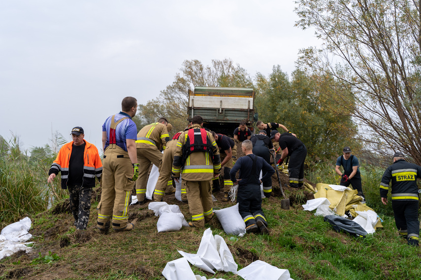 Przerwany wał na rzece Tina. Winne bobry zdjęcie nr 271571