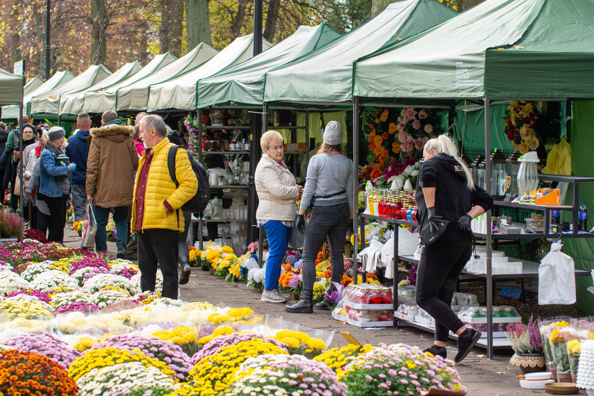 Elblążanie szykują się na 1 i 2 listopada zdjęcie nr 272334
