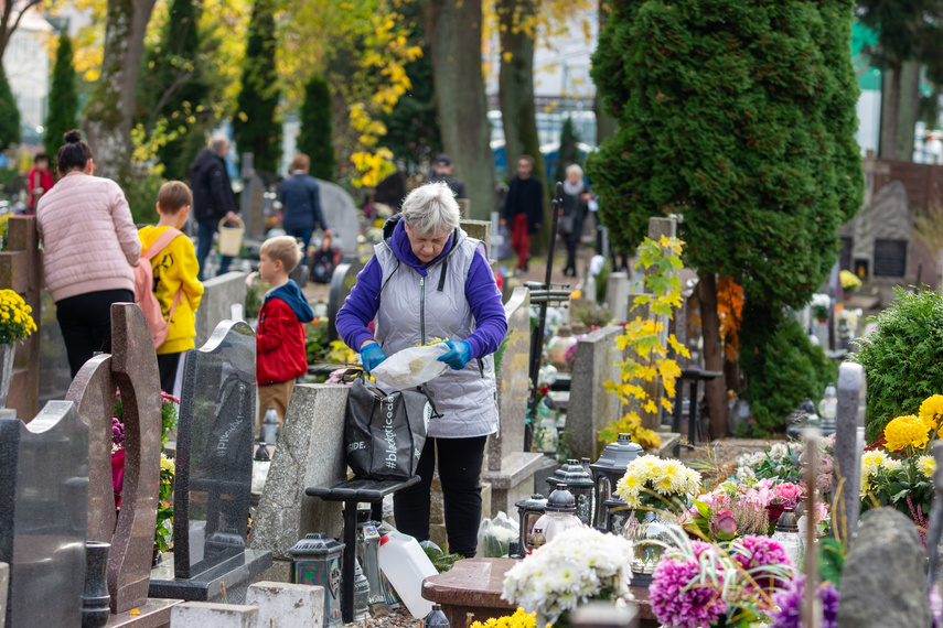 Elblążanie szykują się na 1 i 2 listopada zdjęcie nr 272356