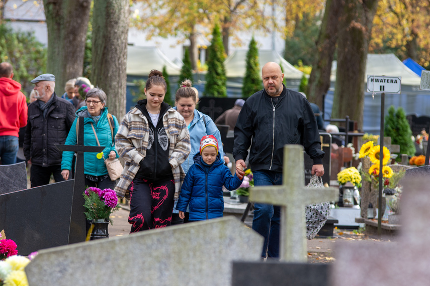 Elblążanie szykują się na 1 i 2 listopada zdjęcie nr 272352