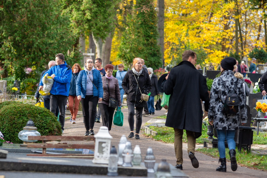 Elblążanie szykują się na 1 i 2 listopada zdjęcie nr 272351