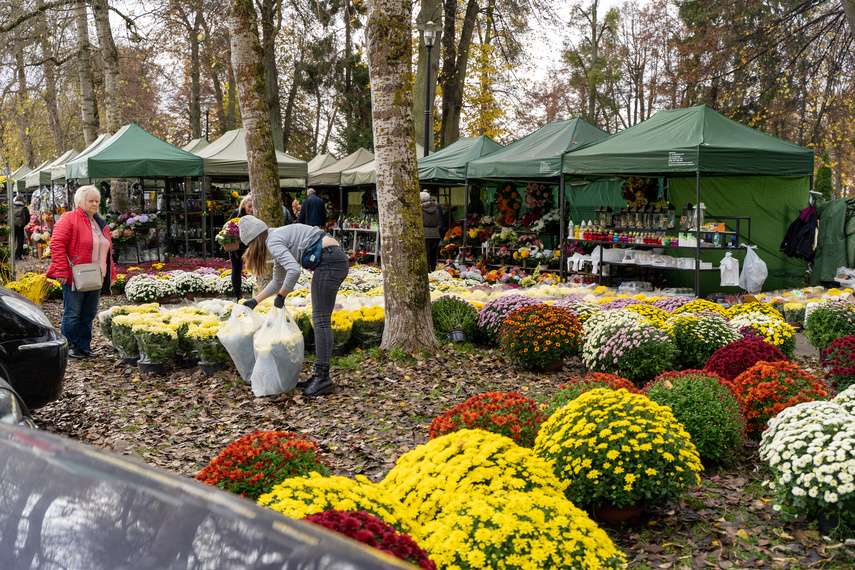 Elblążanie szykują się na 1 i 2 listopada zdjęcie nr 272326