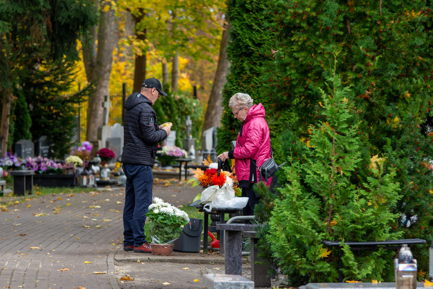 Elblążanie szykują się na 1 i 2 listopada zdjęcie nr 272342