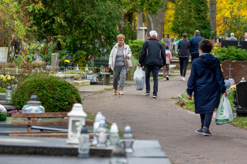 Elblążanie szykują się na 1 i 2 listopada zdjęcie nr 272336