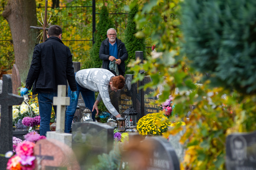 Elblążanie szykują się na 1 i 2 listopada zdjęcie nr 272343