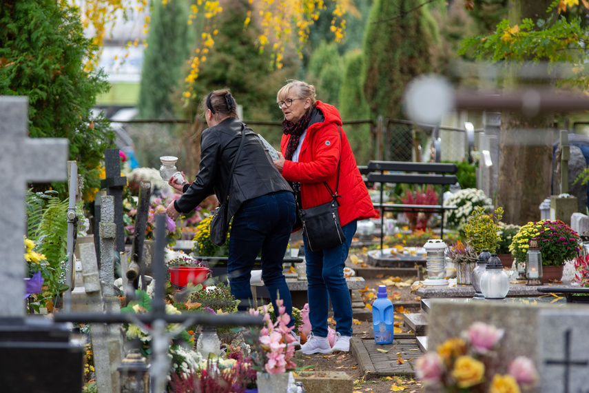 Elblążanie szykują się na 1 i 2 listopada zdjęcie nr 272349