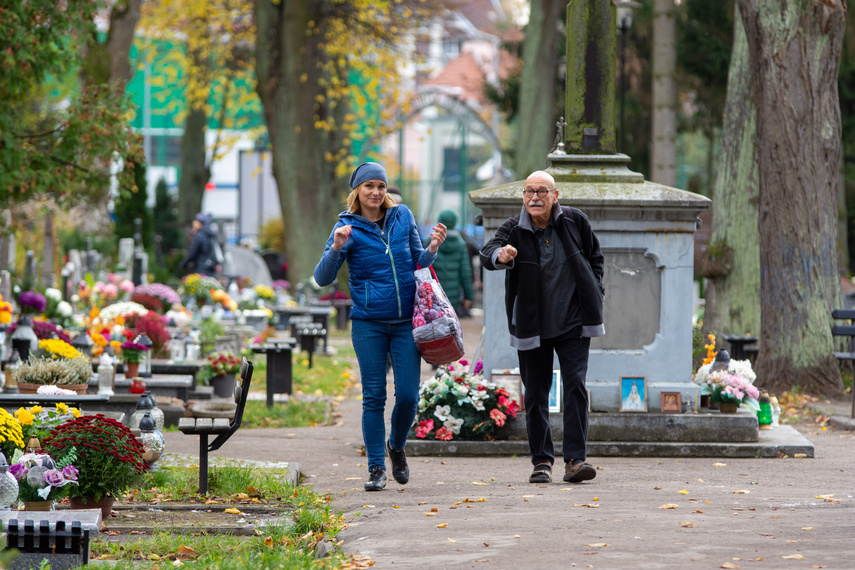 Elblążanie szykują się na 1 i 2 listopada zdjęcie nr 272335