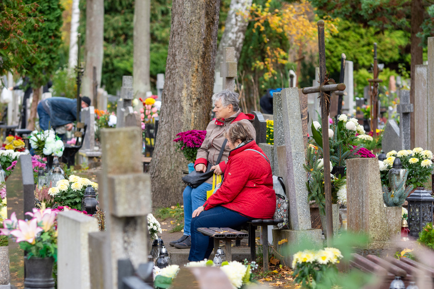 Elblążanie szykują się na 1 i 2 listopada zdjęcie nr 272353