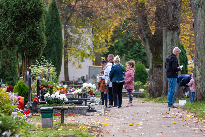 Elblążanie szykują się na 1 i 2 listopada zdjęcie nr 272339
