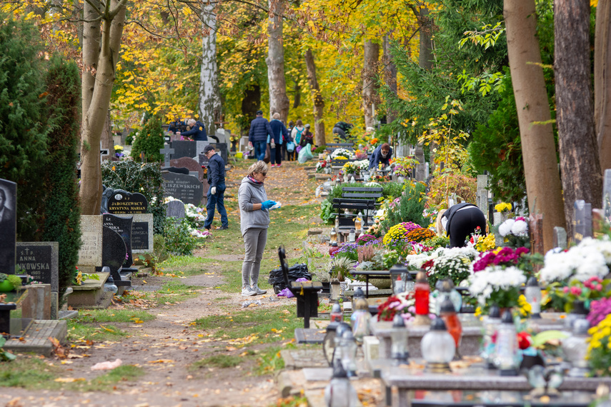 Elblążanie szykują się na 1 i 2 listopada zdjęcie nr 272355