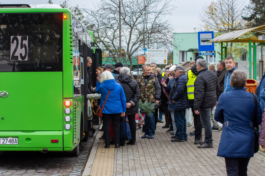 Na cmentarz głównie autobusem zdjęcie nr 272449