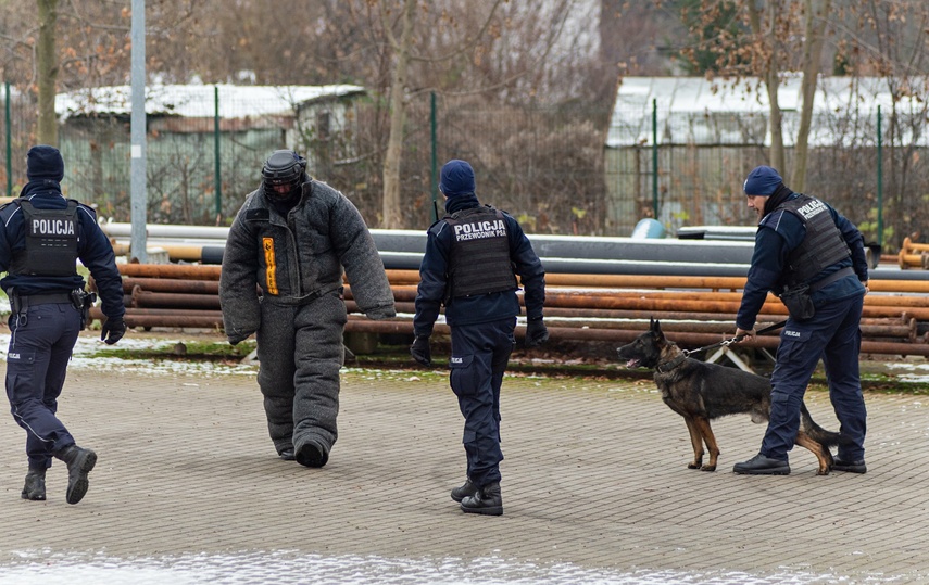 Atak na stację uzdatniania wody. Służby ćwiczą, jak zapewnić nam bezpieczeństwo zdjęcie nr 274425