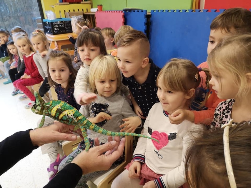 Przedszkole i Zerówka Małego Europejczyka – wspaniała zabawa i edukacja na najwyższym poziomie zdjęcie nr 275639