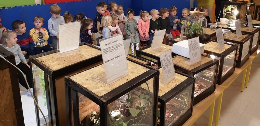 Przedszkole i Zerówka Małego Europejczyka – wspaniała zabawa i edukacja na najwyższym poziomie zdjęcie nr 275641