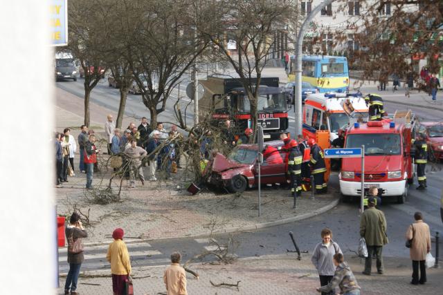 Uderzył w drzewo w centrum miasta zdjęcie nr 22359