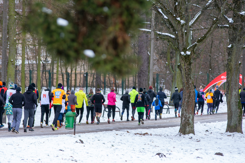 WOŚP i parkrun zagrali razem w parku Modrzewie zdjęcie nr 277633