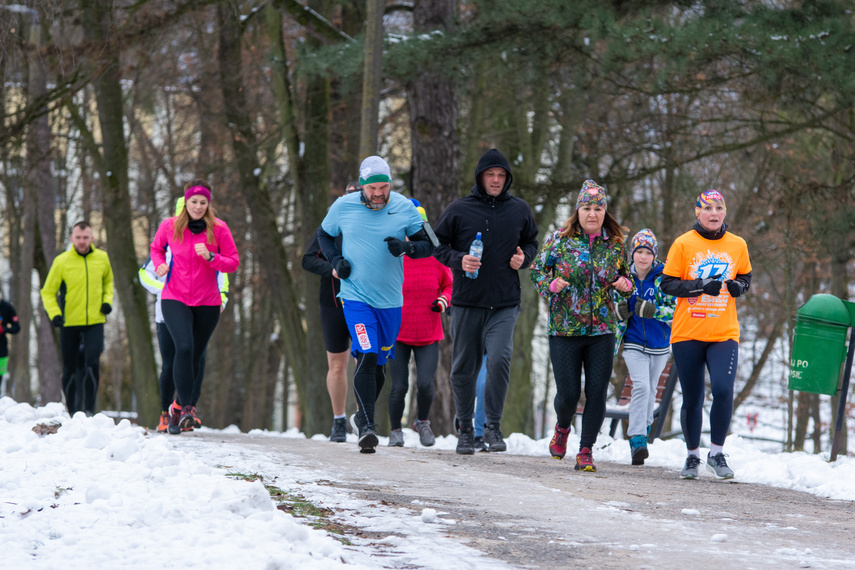 WOŚP i parkrun zagrali razem w parku Modrzewie zdjęcie nr 277649