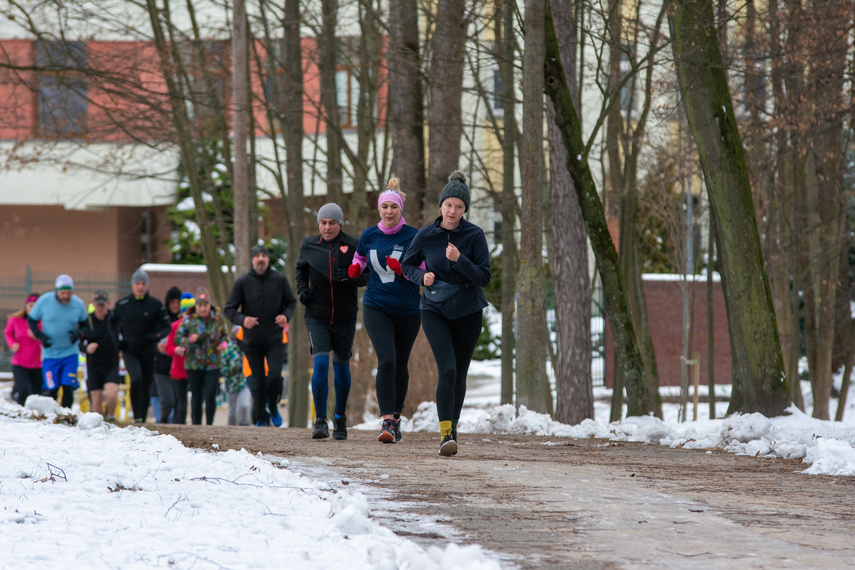 WOŚP i parkrun zagrali razem w parku Modrzewie zdjęcie nr 277647