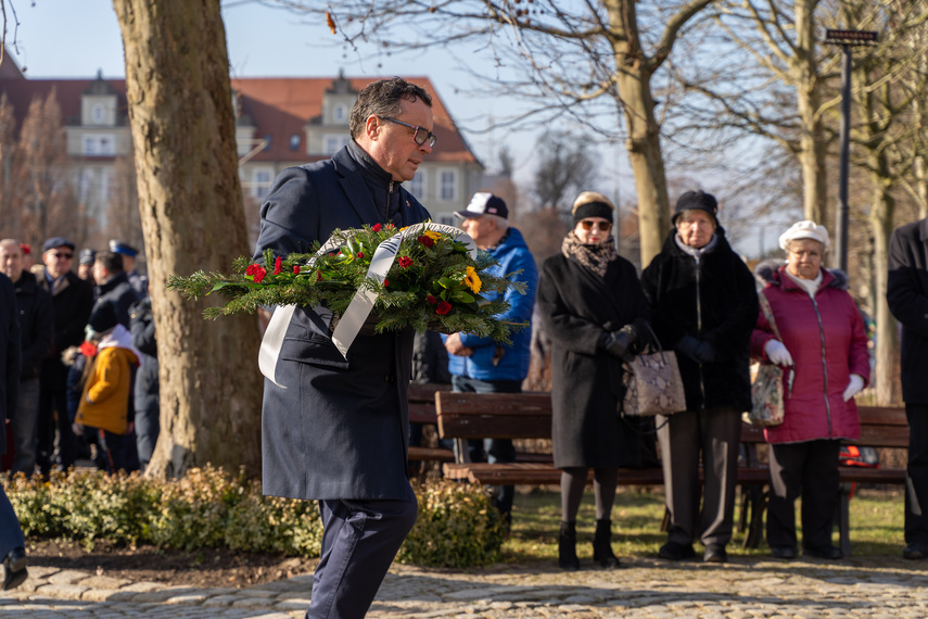 "Fenomen w skali Europy". Elblążanie oddali hołd żołnierzom AK zdjęcie nr 278678