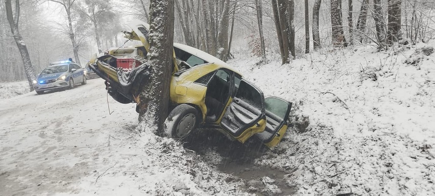 Trudne warunki na drodze. Audi uderzyło w drzewo zdjęcie nr 278991
